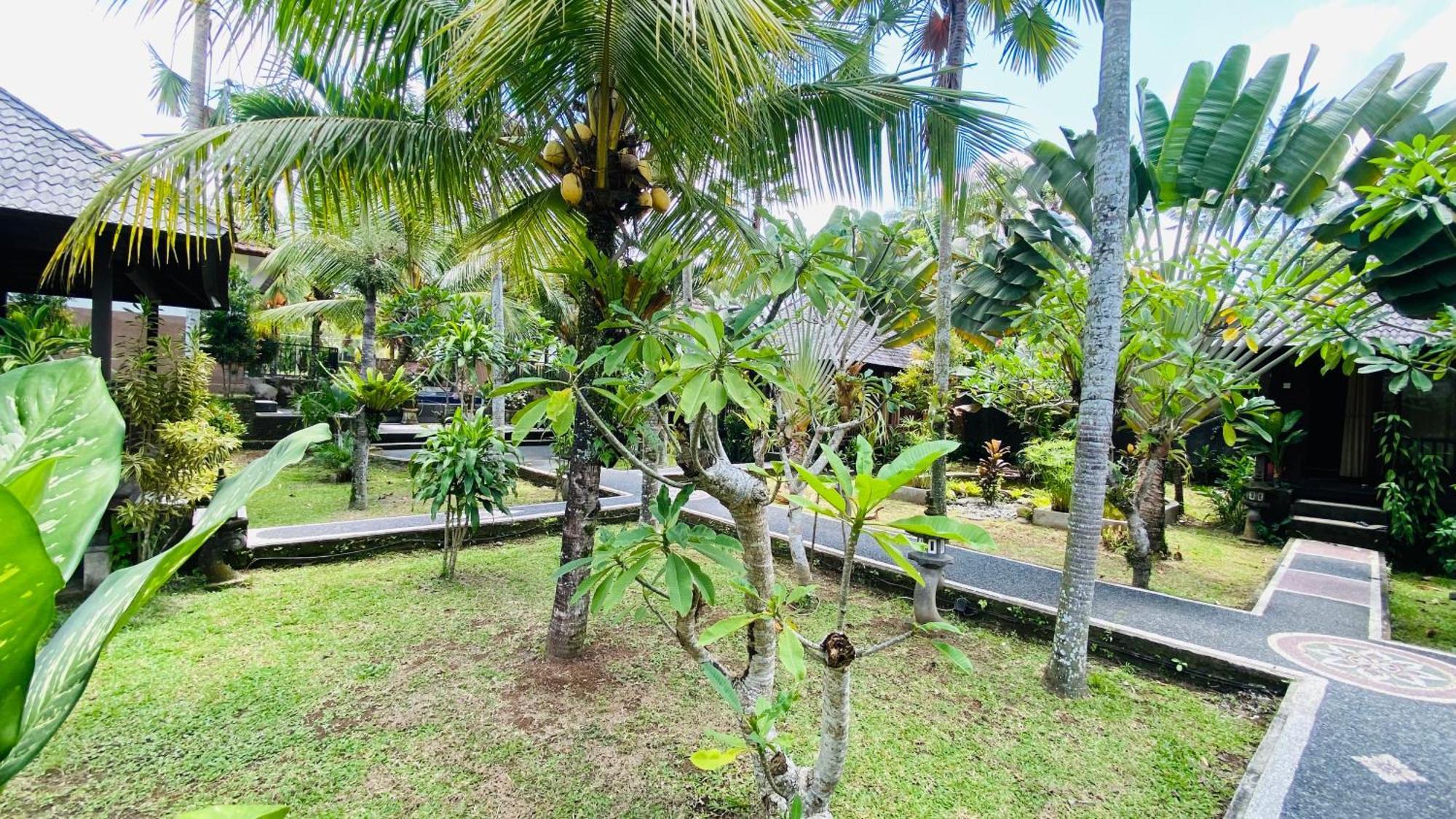 Dong Loka Guesthouse Bali Carangsari Екстер'єр фото